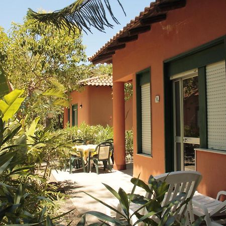 Villa Le Palme Garden San Giorgio  Exterior foto