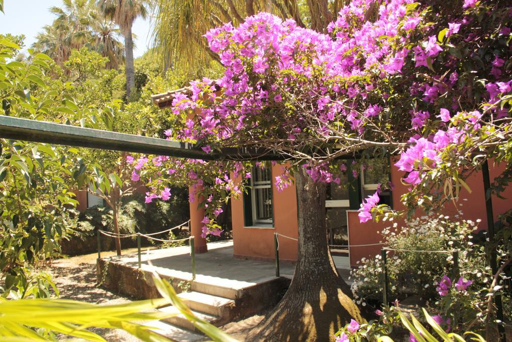 Villa Le Palme Garden San Giorgio  Exterior foto